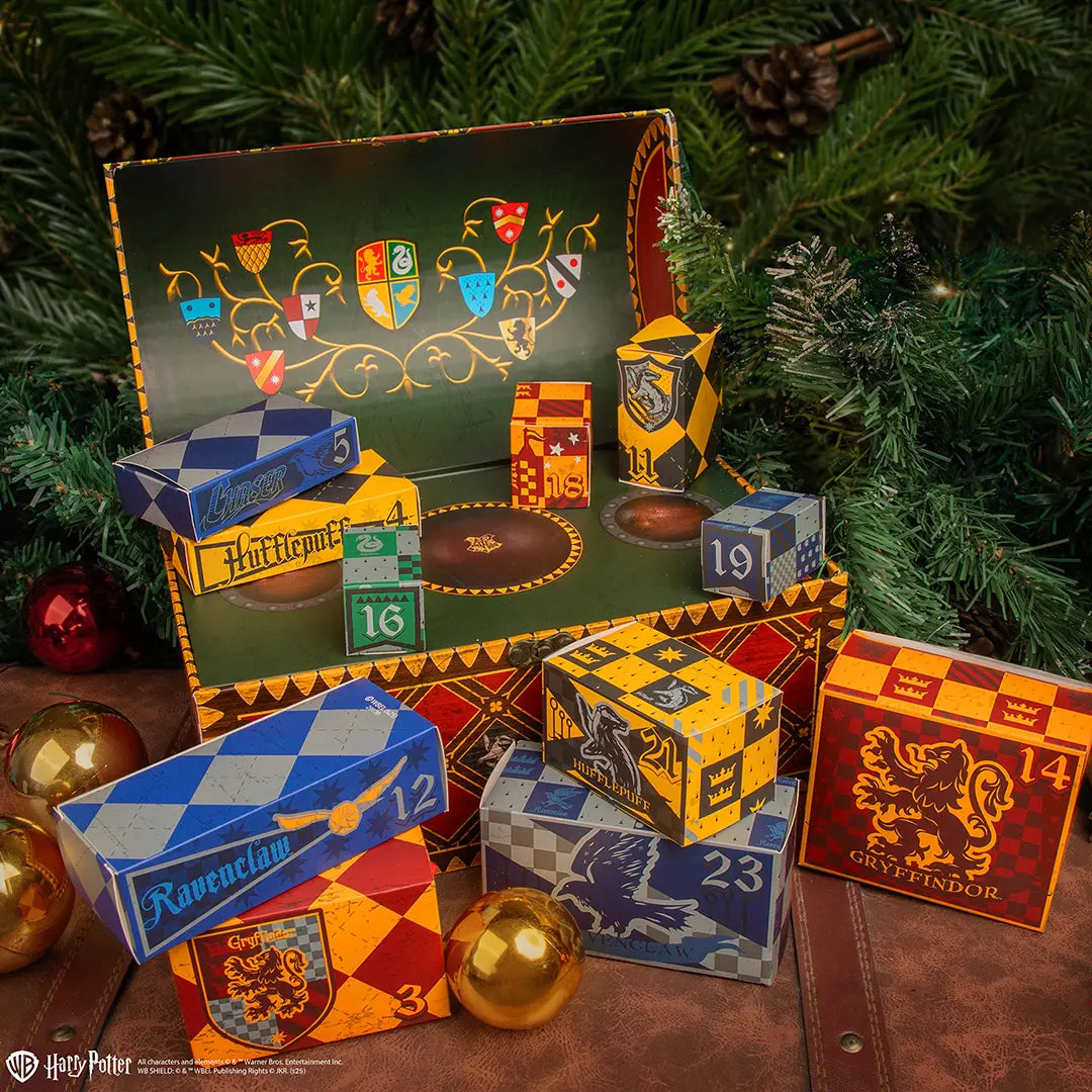 CR2111 - HARRY POTTER - CALENDARIO DELL'AVVENTO DELUXE 2025 - QUIDDTICH - Immagine 2