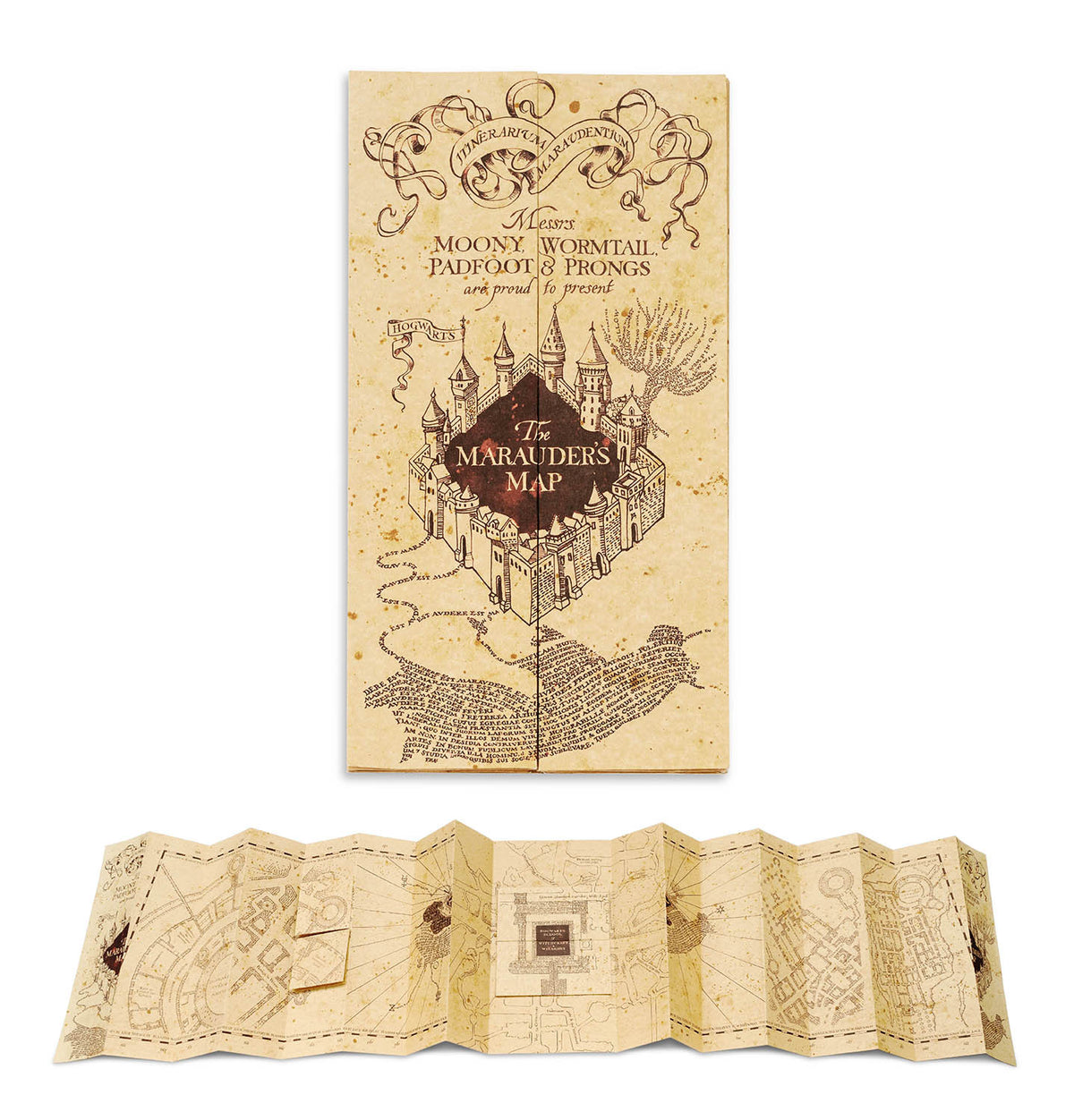 MAPA001 - HARRY POTTER - MAPPA DEL MALANDRINO