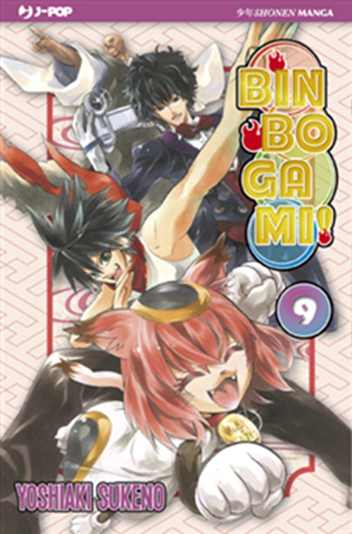 BINBOGAMI 9