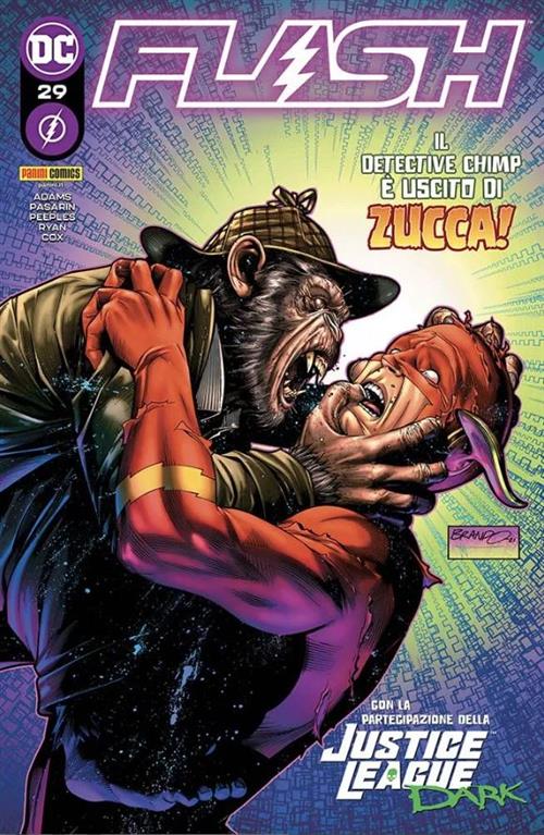FLASH 29