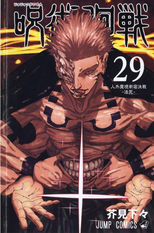 JUJUTSU KAISEN - SORCERY FIGHT 29 - REGULAR