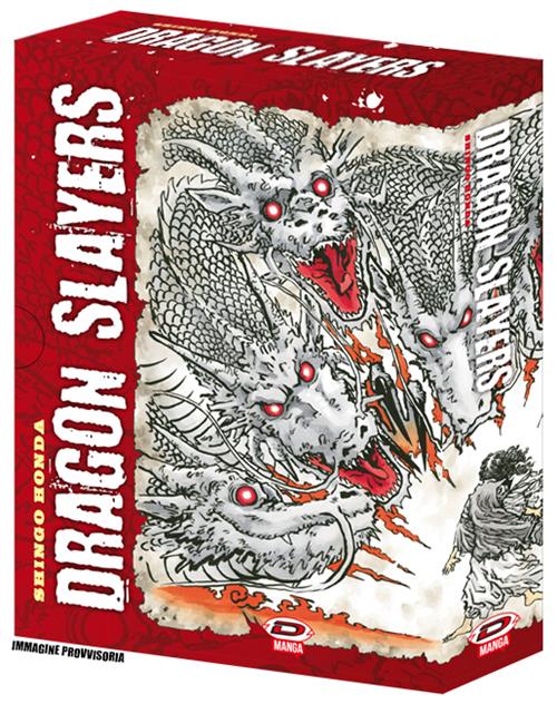 DRAGON SLAYERS COLLECTOR'S BOX