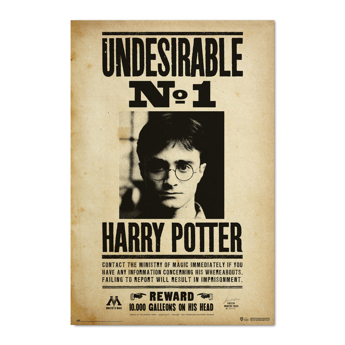 GPE5607 - HARRY POTTER - POSTER - RICERCATO N.1