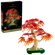10348 - BOTANICALS - BONSAI DI ACERO ROSSO GIAPPONESE