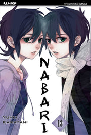 NABARI 13