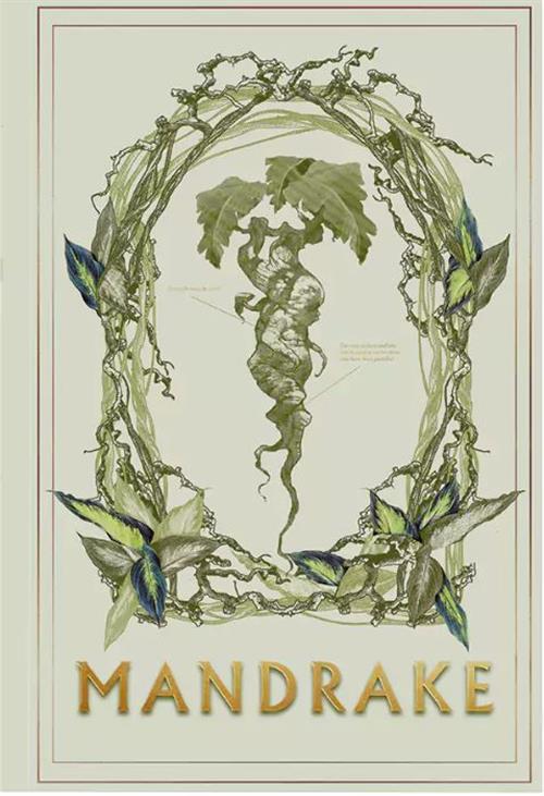 MAP5175 - HARRY POTTER - NOTEBOOK MANDRAKE