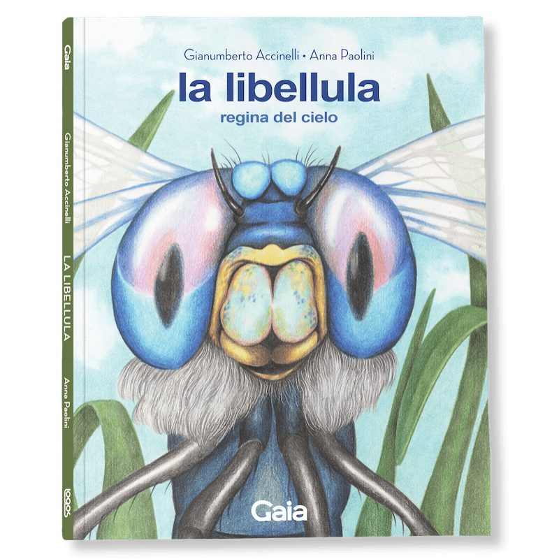 LA LIBELLULA