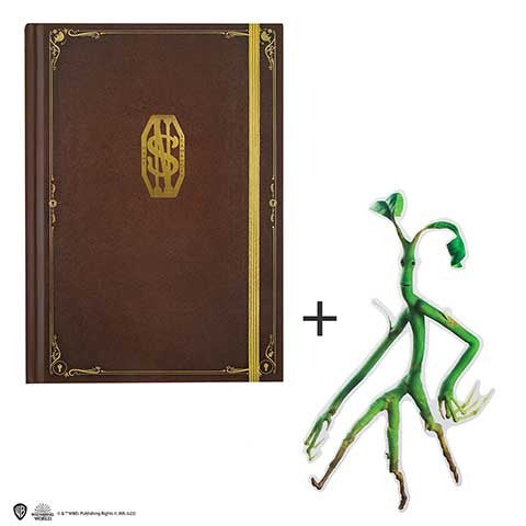 MAP5102 - FANTASTIC BEAST - NOTEBOOK NEWT SCAMANDER