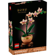 10343 - BOTANICALS - MINI-ORCHIDEA