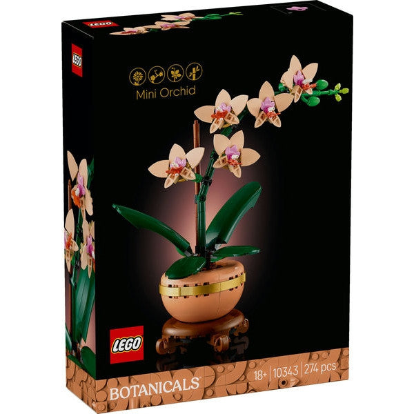 10343 - BOTANICALS - MINI-ORCHIDEA