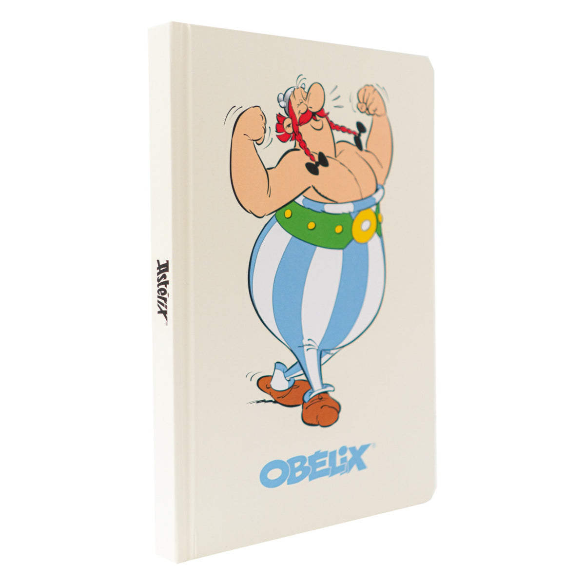 CPA5004 - ASTERIX E OBELIX - A5 NOTEBOOK - ASTERIX & OBELIX