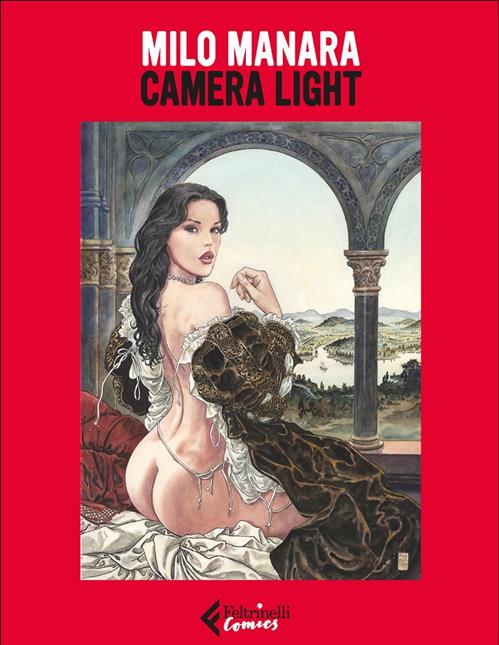 CAMERA LIGHT
