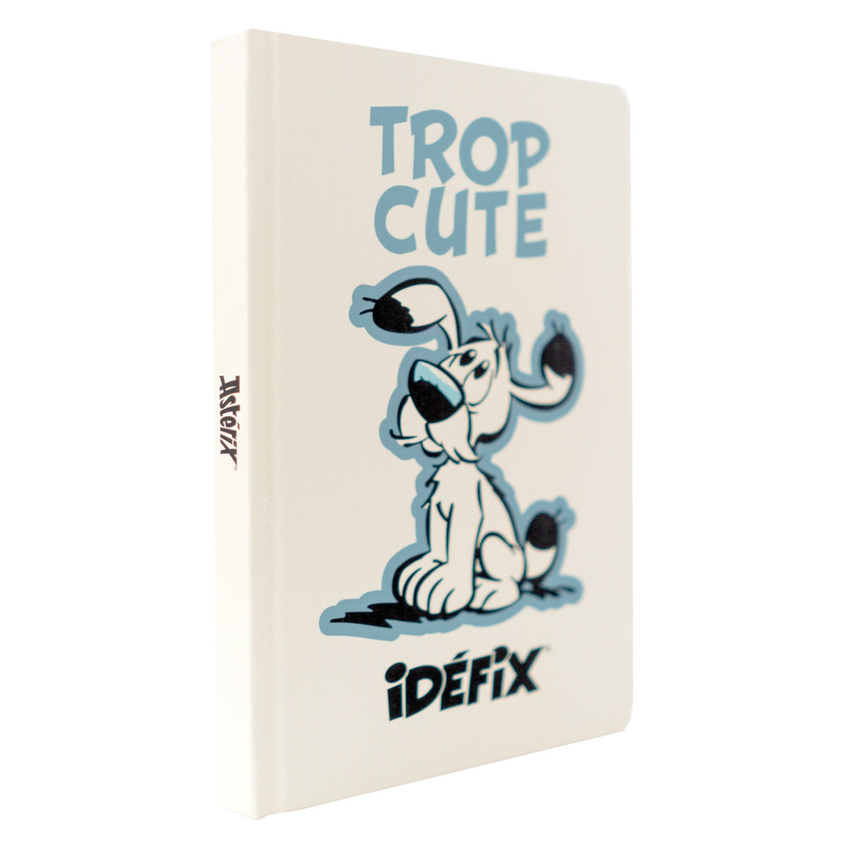 CPA5005 - ASTERIX E OBELIX - A5 NOTEBOOK - ASTERIX & OBELIX IDEAFIX