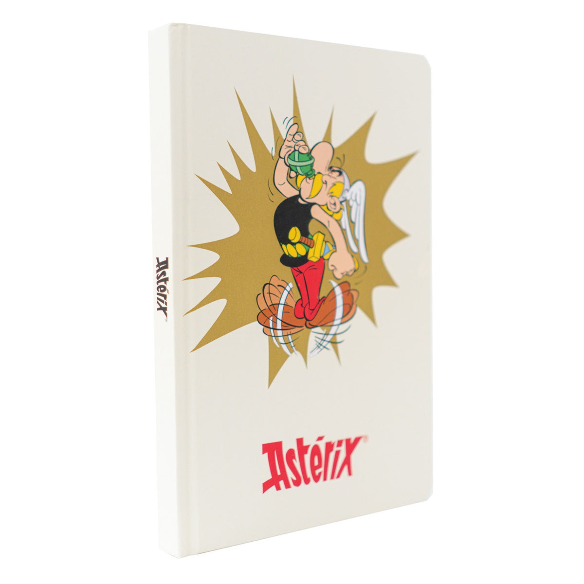 CPA5006 - ASTERIX E OBELIX - A5 NOTEBOOK - POZIONE MAGICA