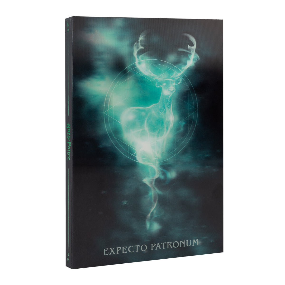 CLA503 - HARRY POTTER - QUADERNO LENTICOLARE A5