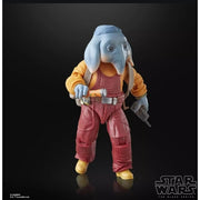 STAR WARS - BLACK SERIES - SKELETON CREW - NEEL (AD ATTIN) - ACTION FIGURE 15CM