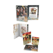 HEAVEN OFFICIAL'S BLESSING VOL.1 - LIMITED EDITION