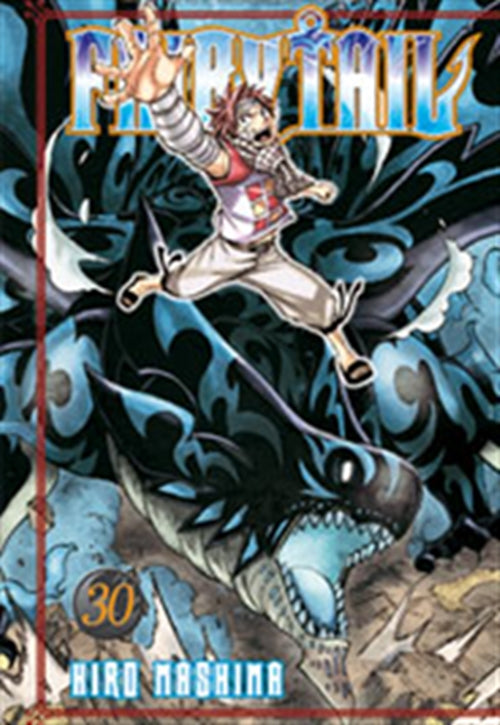 FAIRY TAIL 30