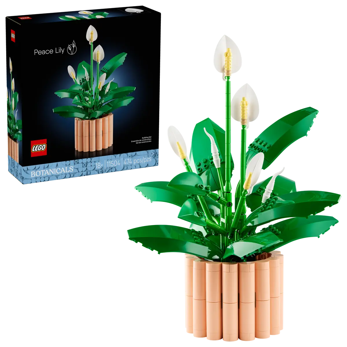 11504 - BOTANICALS - SPATIFILLO