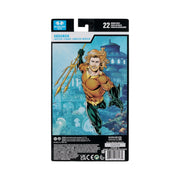 DC MULTIVERSE - AQUAMAN (ENDLESS WINTER) - ACTION FIGURE 18CM - Immagine 2